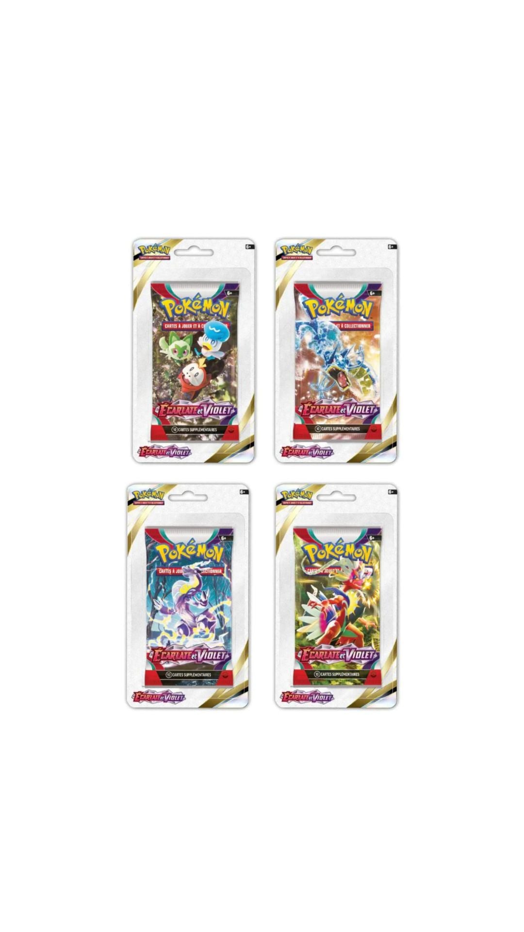 Artset Écarlate et Violet